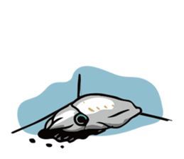 Cute squid sticker #180626