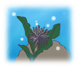 AMA-CLUB sticker #180915