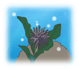 AMA-CLUB sticker #180915