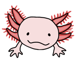 Daily life of Axolotl sticker #181369