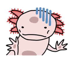 Daily life of Axolotl sticker #181372