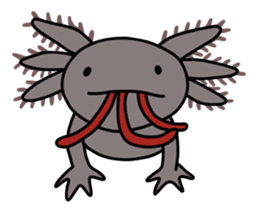 Daily life of Axolotl sticker #181380