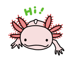 Daily life of Axolotl sticker #181382