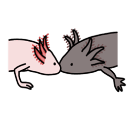 Daily life of Axolotl sticker #181392