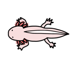 Daily life of Axolotl sticker #181395