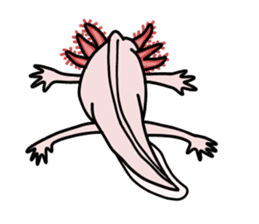 Daily life of Axolotl sticker #181396