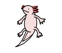 Daily life of Axolotl sticker #181398