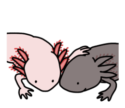 Daily life of Axolotl sticker #181405