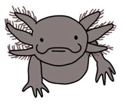 Daily life of Axolotl sticker #181407