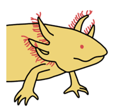 Daily life of Axolotl sticker #181408