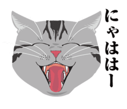 SABATORA realistic face of cat sticker #185627