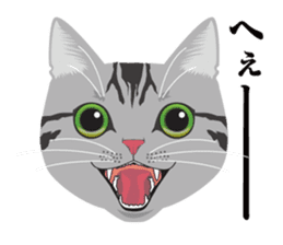 SABATORA realistic face of cat sticker #185628