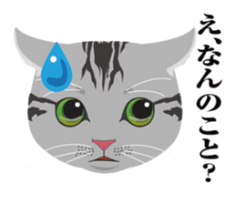 SABATORA realistic face of cat sticker #185633