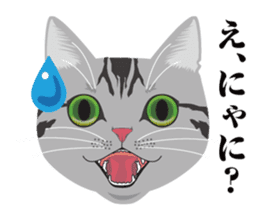 SABATORA realistic face of cat sticker #185634
