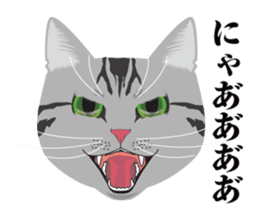 SABATORA realistic face of cat sticker #185638