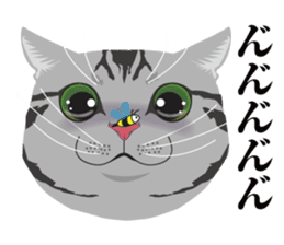 SABATORA realistic face of cat sticker #185640