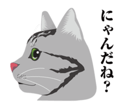 SABATORA realistic face of cat sticker #185641