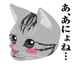 SABATORA realistic face of cat sticker #185645