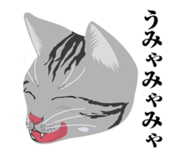 SABATORA realistic face of cat sticker #185646