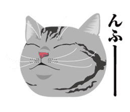 SABATORA realistic face of cat sticker #185649