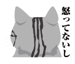 SABATORA realistic face of cat sticker #185652