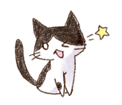 pochi_cat sticker #190505