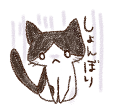 pochi_cat sticker #190507