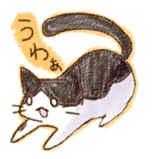 pochi_cat sticker #190509