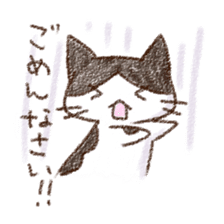 pochi_cat sticker #190516