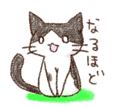 pochi_cat sticker #190520