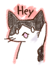 pochi_cat sticker #190528