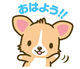 welsh corgi sticker #190625