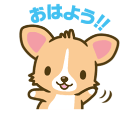 welsh corgi sticker #190625