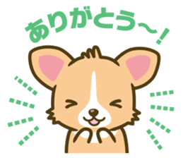 welsh corgi sticker #190635