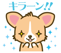 welsh corgi sticker #190644