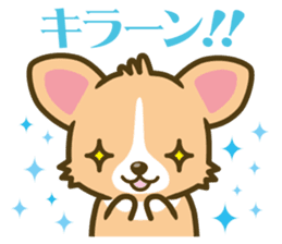 welsh corgi sticker #190644