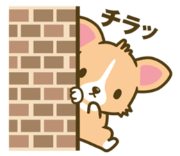 welsh corgi sticker #190654