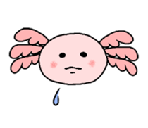 Mexico Salamander Love sticker #193868