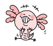 Mexico Salamander Love sticker #193874