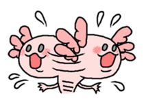 Mexico Salamander Love sticker #193876