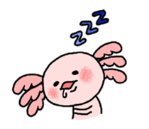 Mexico Salamander Love sticker #193877