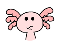 Mexico Salamander Love sticker #193901