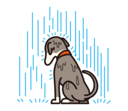Dog Stamp vol.4 Italian Greyhound sticker #194686
