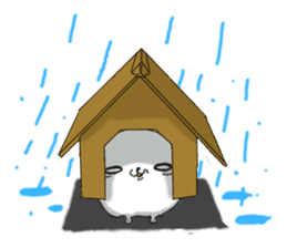 That dog sticker #195496