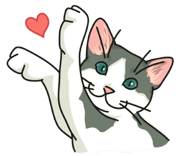 NO CAT NO LIFE Satowo cat stamp2 sticker #196161
