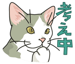 NO CAT NO LIFE Satowo cat stamp2 sticker #196162