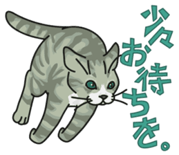 NO CAT NO LIFE Satowo cat stamp2 sticker #196165