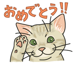 NO CAT NO LIFE Satowo cat stamp2 sticker #196167