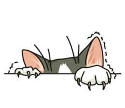 NO CAT NO LIFE Satowo cat stamp2 sticker #196173