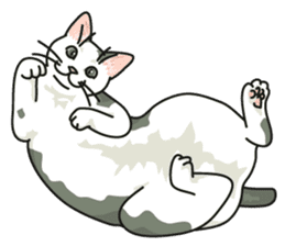 NO CAT NO LIFE Satowo cat stamp2 sticker #196179